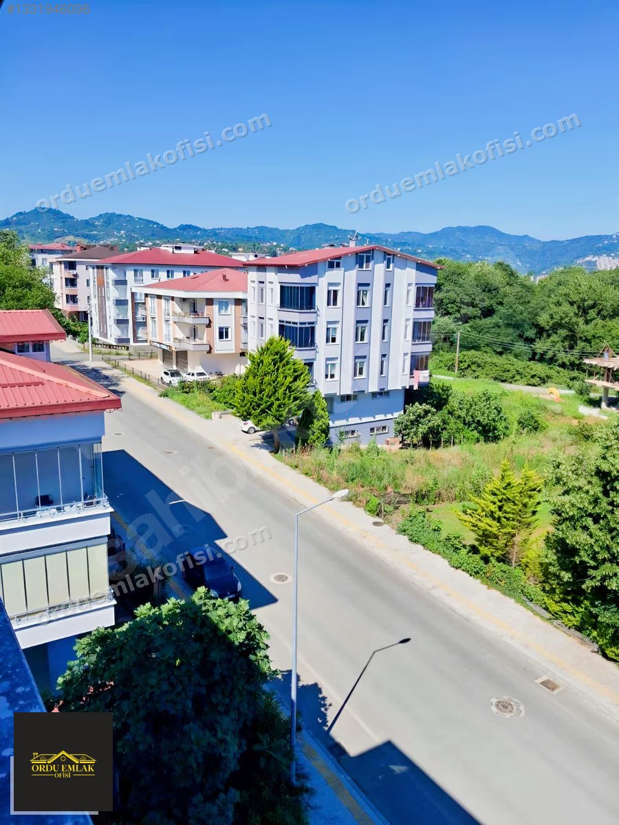 Fotoğraf 13