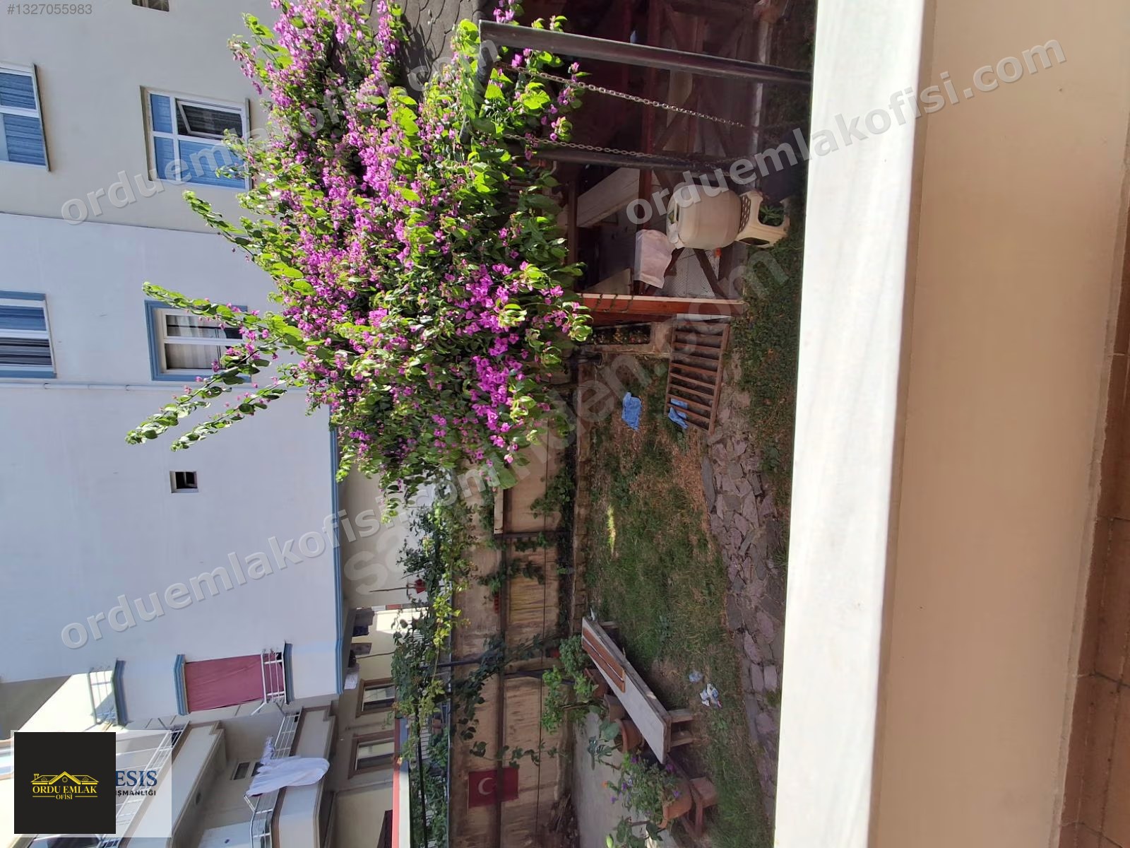 Fotoğraf 13