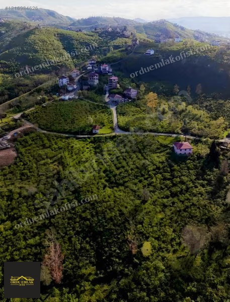 Fotoğraf 12
