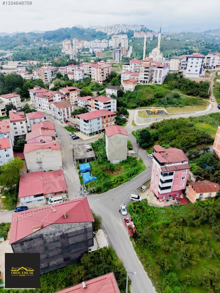Fotoğraf 12